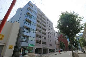 グランステート丸の内の外観（北西側から）