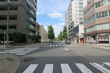 敷地東側の前面道路（南側から）