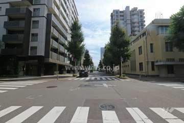 敷地西側の前面道路（北側から）