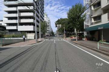 敷地東側の前面道路（南側から）