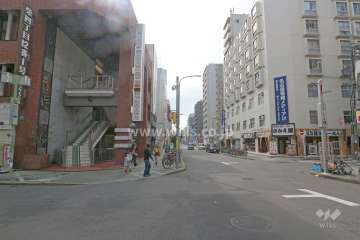 敷地西側の前面道路（北側から）