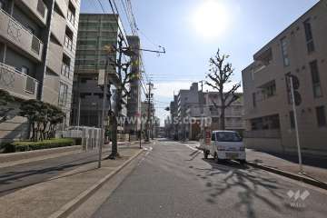 敷地西側の前面道路(北側から)