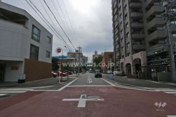 敷地東側の前面道路（北側から）