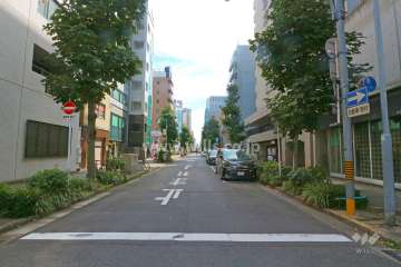 敷地東側の前面道路（北側から）