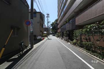 敷地南東側の前面道路（岩井下日置町線）