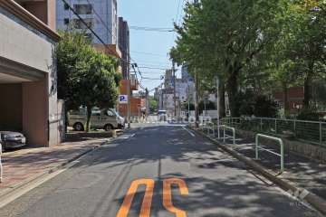 敷地南側の前面道路（西側から）