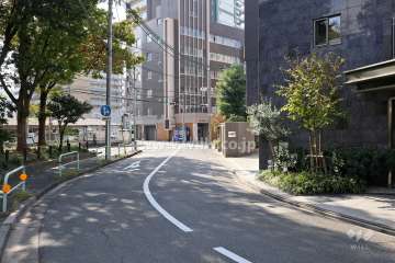 敷地東側の前面道路（北側から）