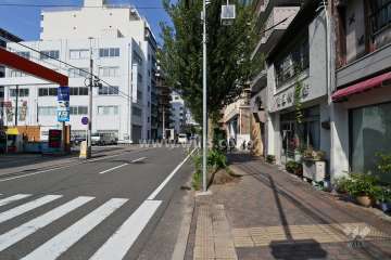 敷地西側の前面道路（南側から）
