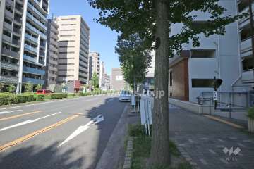 敷地北側の前面道路（西側から）