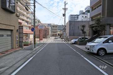 敷地南側の前面道路（西側から）