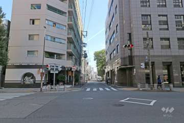 敷地南側の前面道路（西側から）