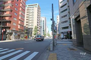 敷地西側の前面道路（南側から）