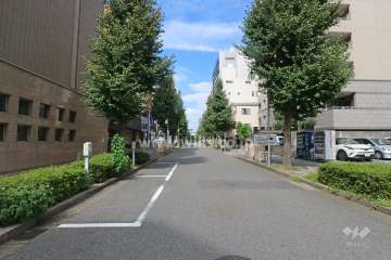 敷地西側の前面道路（南側から）