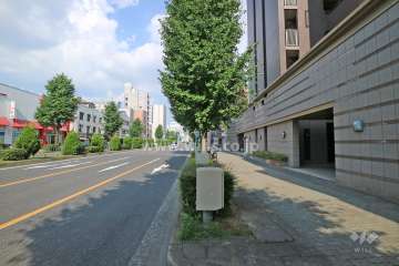敷地の北側前面道路（西側から）