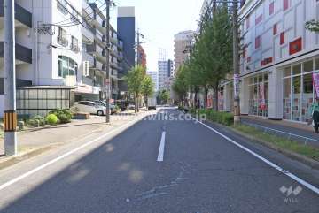 敷地西側の前面道路（北側から）