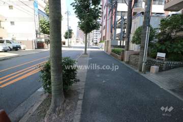 敷地の北側前面道路（西側から）