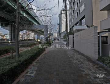 敷地北側の前面道路（西側から）
