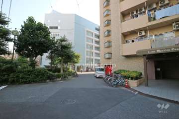 敷地の南東側前面道路（北東側から）