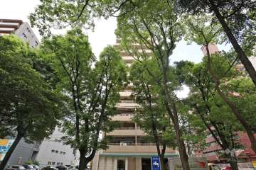 ライオンズシテシィ栄本町通の外観（西側から）