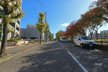 敷地南側の前面道路（西側から）