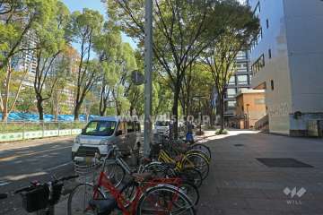 敷地東側の前面道路（北側から）