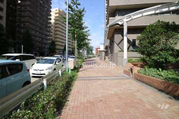 敷地北側の前面道路（西側から）
