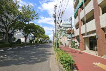 敷地西側の前面道路（南側から）
