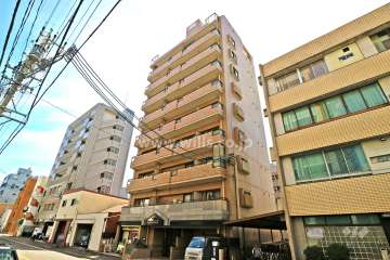 ライオンズマンション丸の内第7（北東側から）