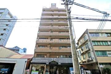 ライオンズマンション丸の内第7（東側から）