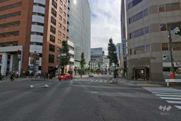 敷地西側の前面道路（北側から）