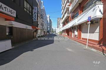 敷地西側の前面道路（南側から）