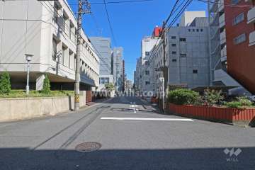 敷地北側の前面道路（西側から）