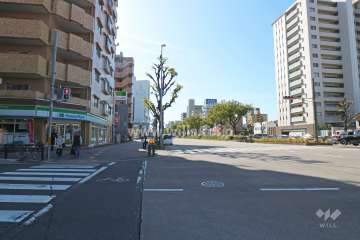 敷地西側の前面道路（北側から）