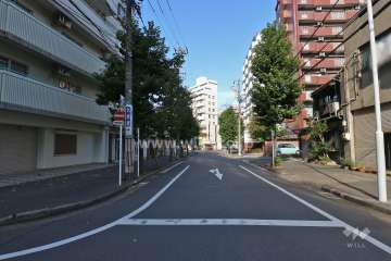 敷地北東側の前面道路（南東側から）