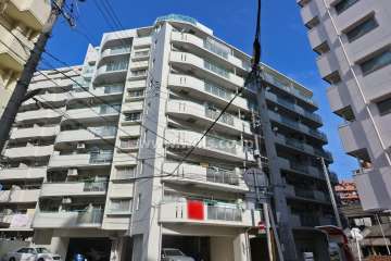 三井金山ハイツの外観（南側から）
