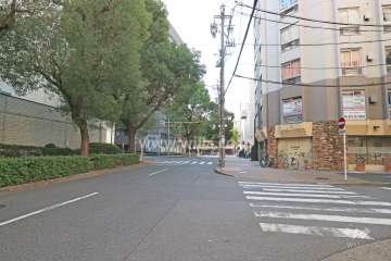 敷地東側の前面道路（北側から）