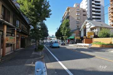 敷地北側の前面道路（東側から）
