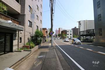 敷地東側の前面道路（北側から）