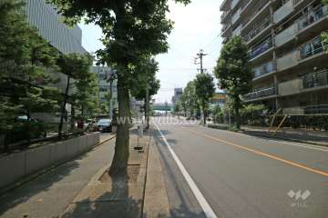 敷地北側の前面道路（東側から）