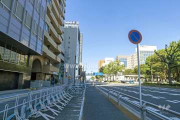 敷地東側の前面道路（南側から）
