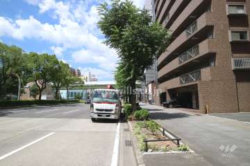 敷地西側の前面道路。国道19号線です。