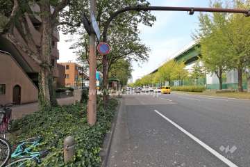 敷地北側の前面道路（東側から）