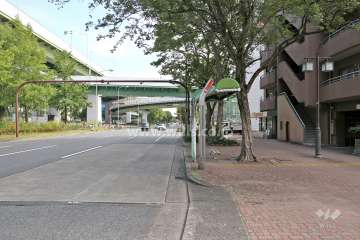 敷地北側の前面道路（西側から）