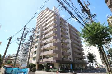 グリーンコーポ千代田の外観（南東側から）