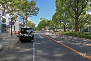 敷地東側の前面道路（南側から）