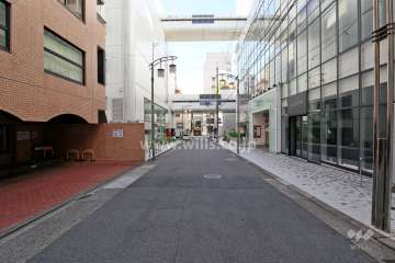 敷地西側の前面道路（北側から）