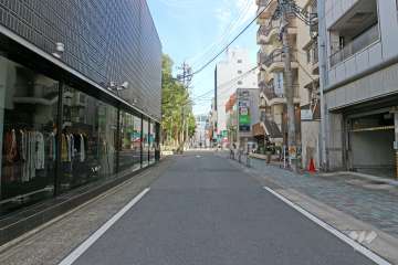 敷地北側の前面道路（西側から）