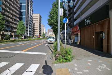 敷地北側の前面道路（西側から）
