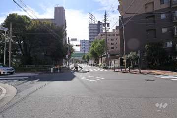 敷地東側の前面道路（北側から）