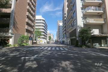 敷地西側の前面道路（南側から）